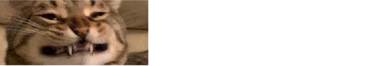 testimonial carousel-04